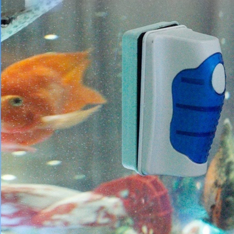 À l'aquarium