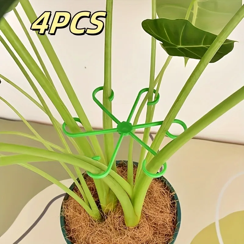 Anneau au pied d'une plante