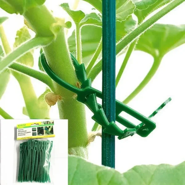 Attaches crantées réglables pour plantes, 13 à 23 cm