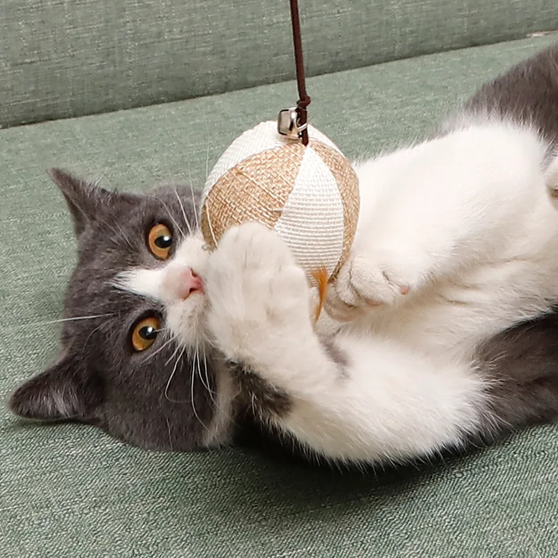 Chat et balle en sisal