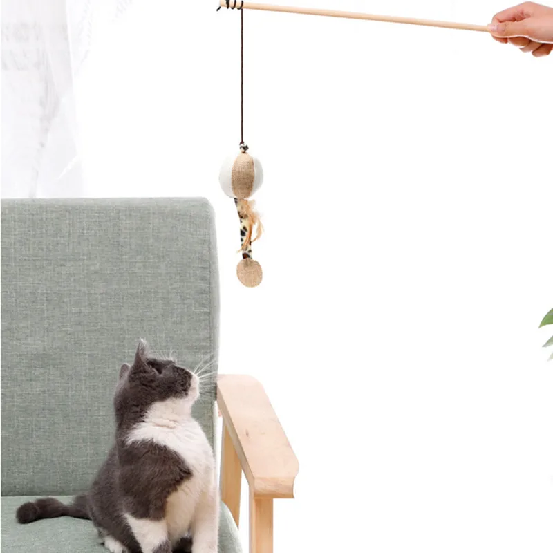 Chat qui guette