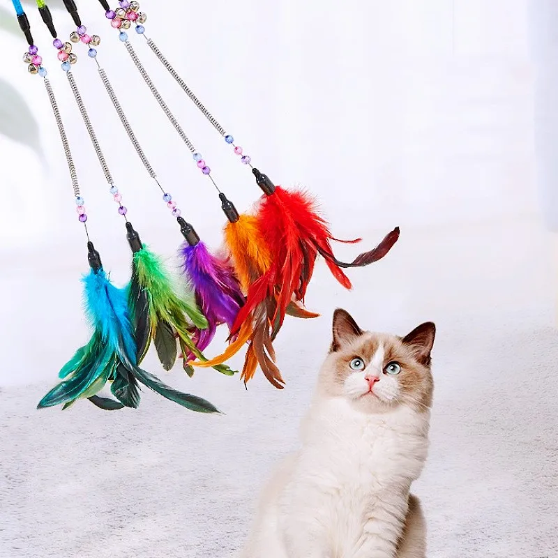 Chat et baguettes