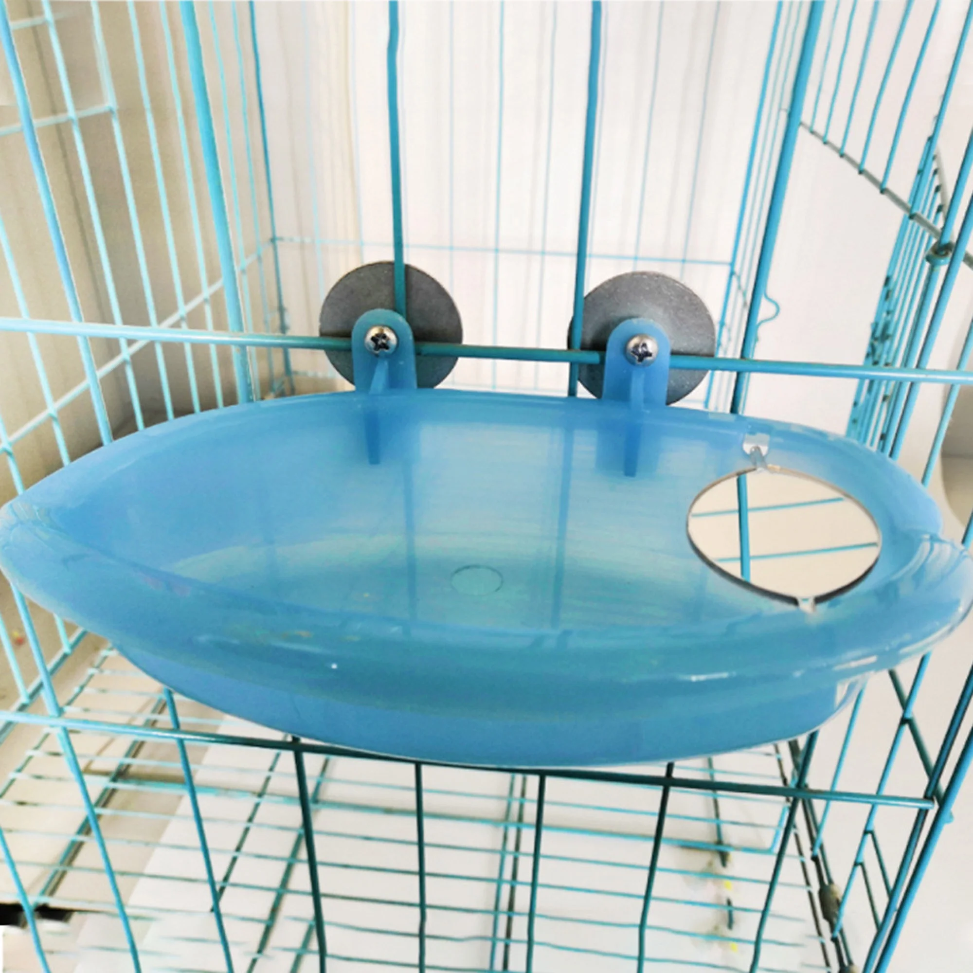 Perroquet au bain