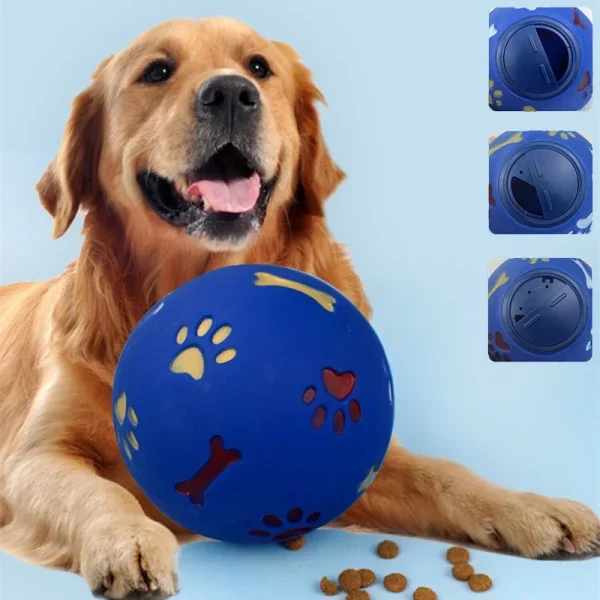 Chien et sa balle
