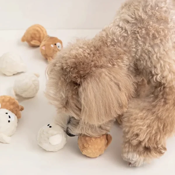 Chien et balles