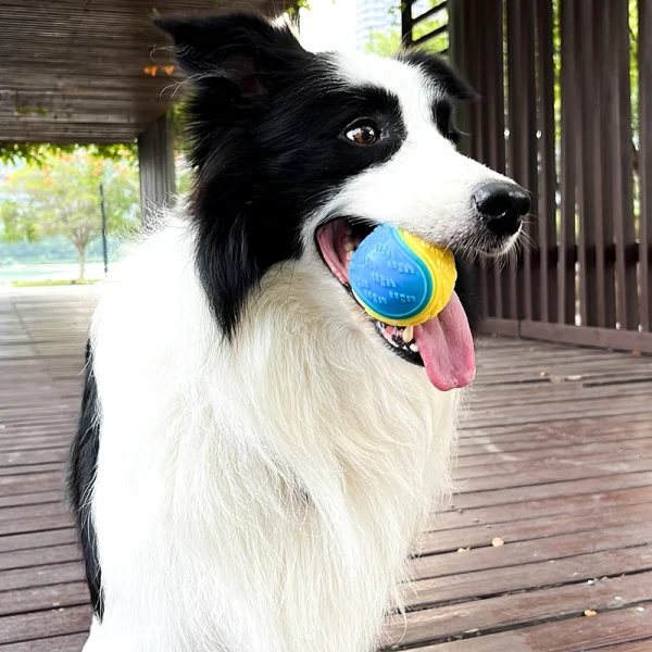 Balle en TPR souple pour chien