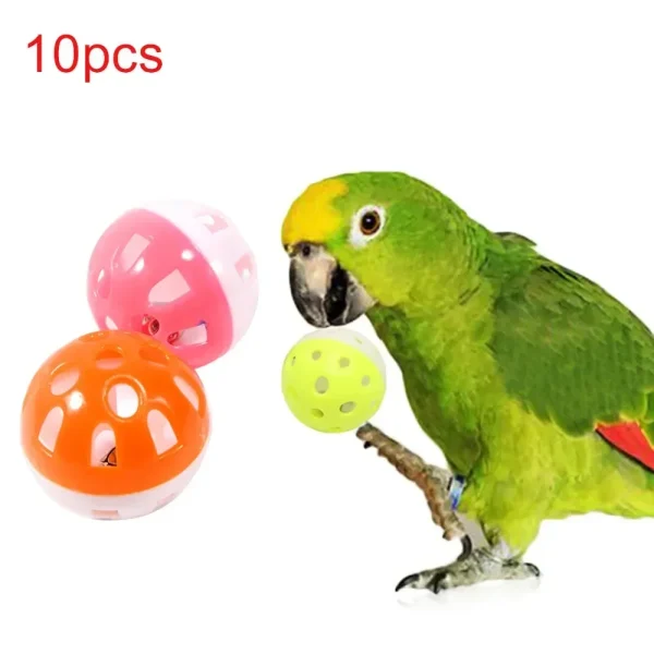 Balles ajourées à grelot pour oiseaux, lot de 10
