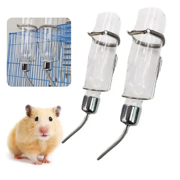 Biberons et hamster