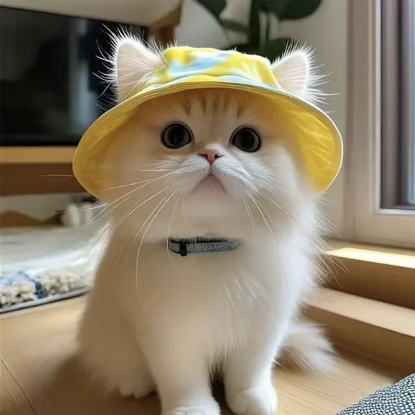 Bob de soleil à oreilles pour chat