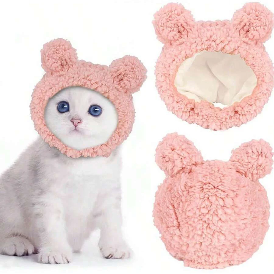 Chat ourson rose