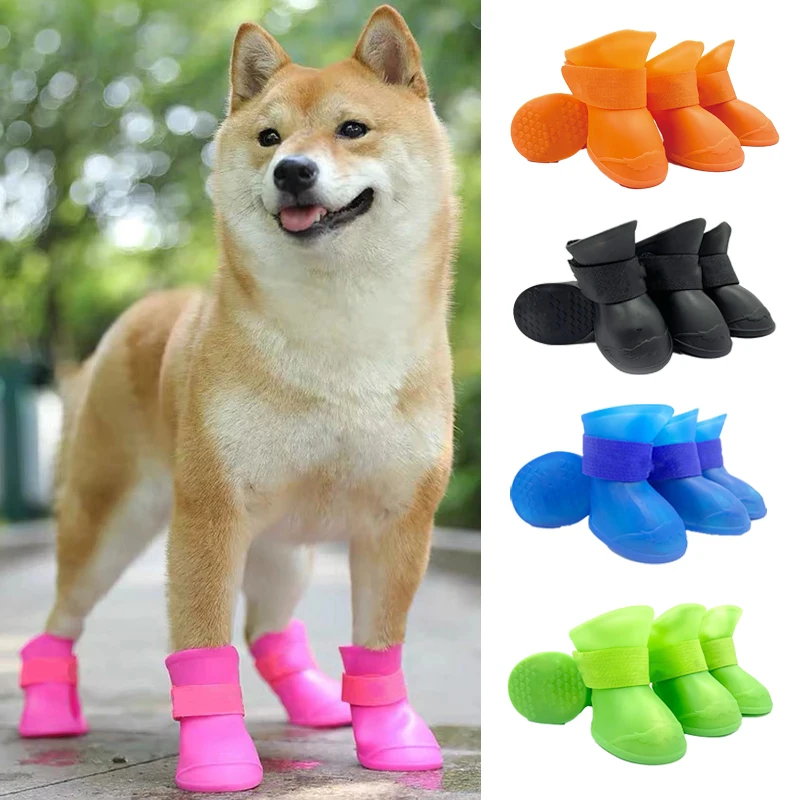 Shiba en bottes roses