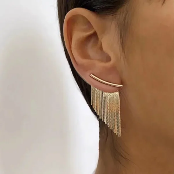 Boucles d'oreilles longues à franges scintillantes