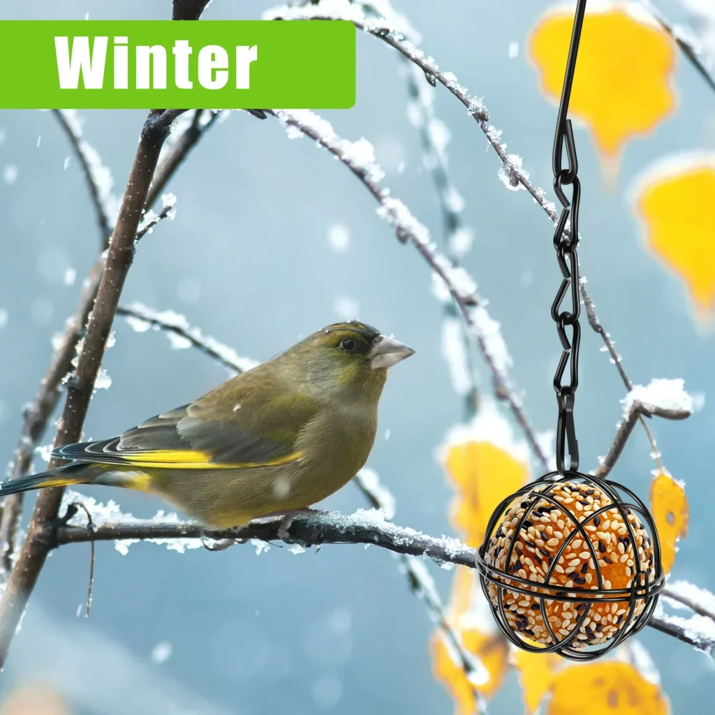 En hiver