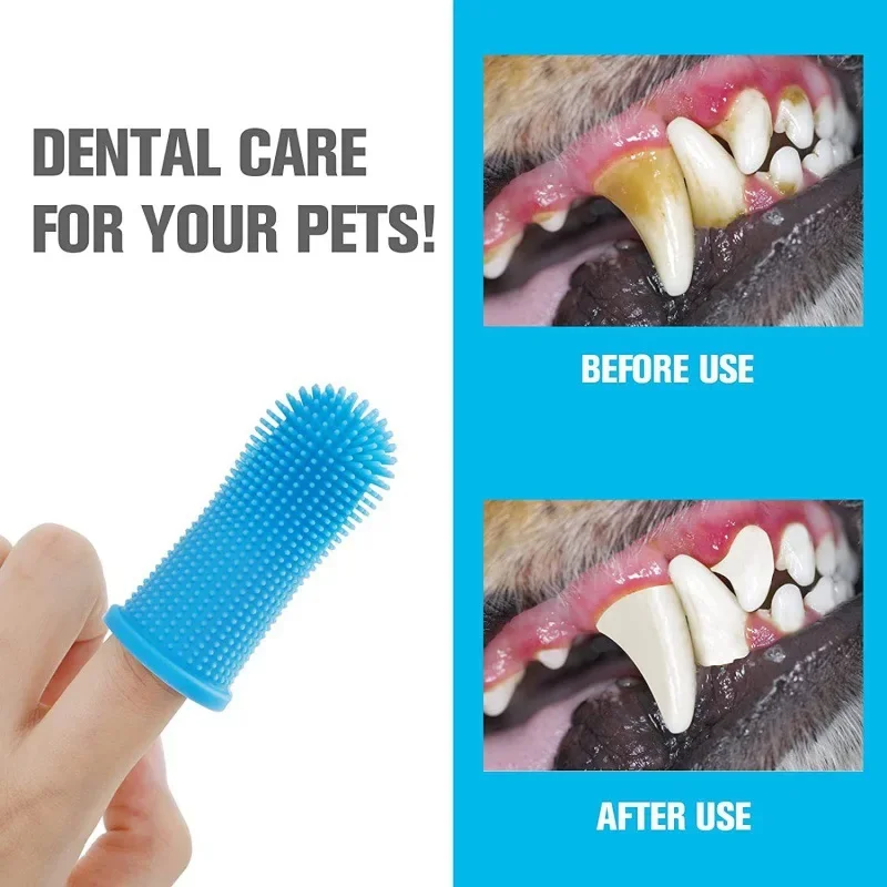 Dents d'un chien avant et après brossage