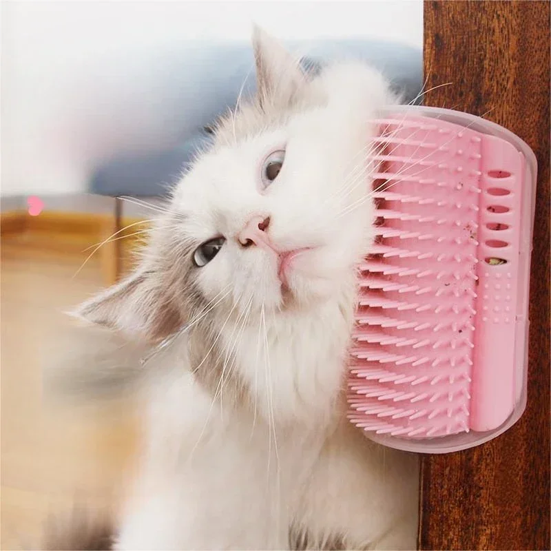 Chat qui se frotte
