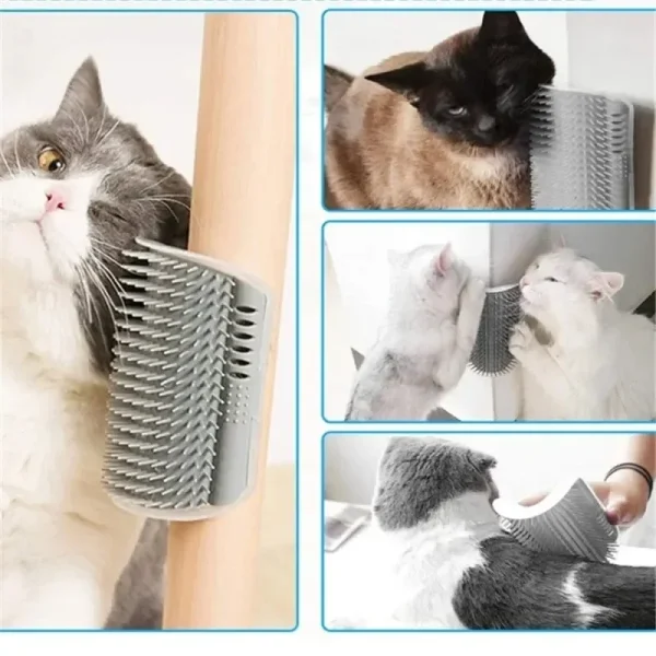 Chats qui se frottent