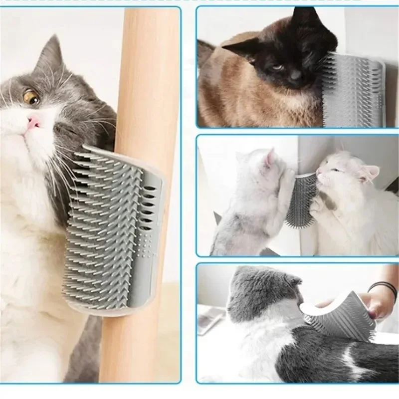 Chats qui se frottent