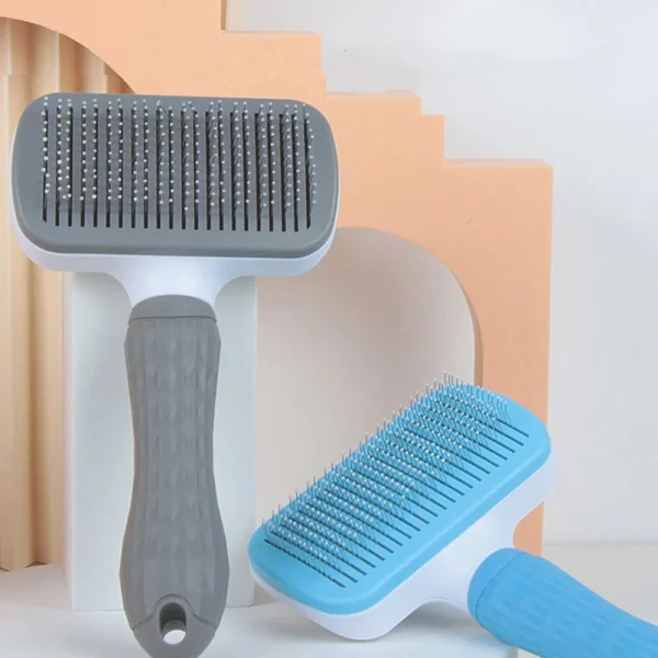 Brosses grise et bleue