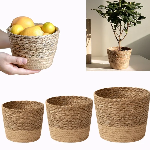 Trois tailles et fruits