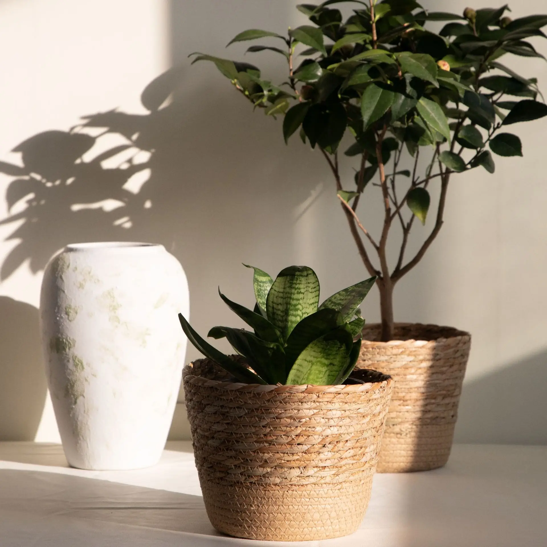 Deux cache-pots garnis