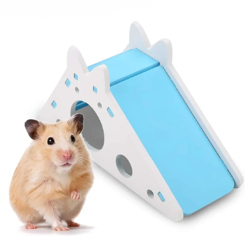 Avec son hamster