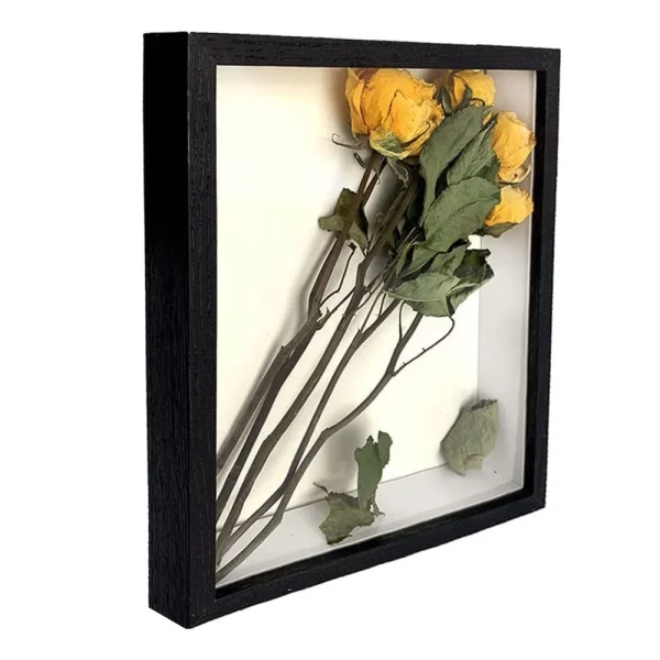 Cadre vitrine avec branche de roses