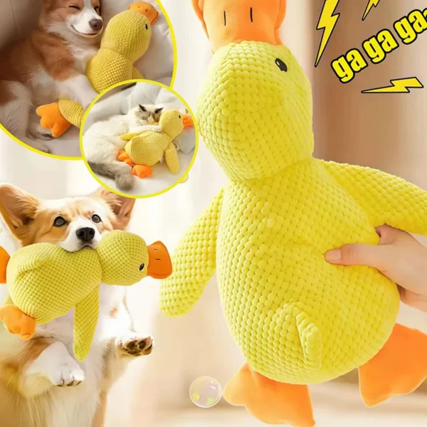 Canard en peluche couineur pour chien