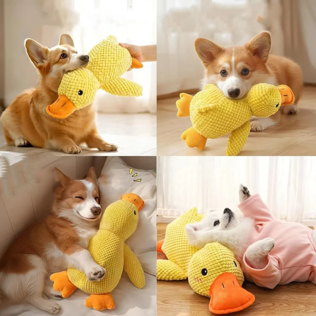 Chiens et canards