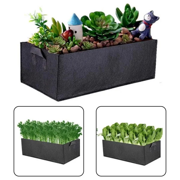Carré garni de succulentes