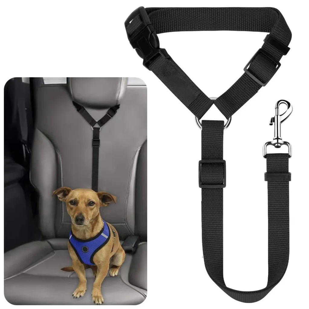 Chien attaché en voiture