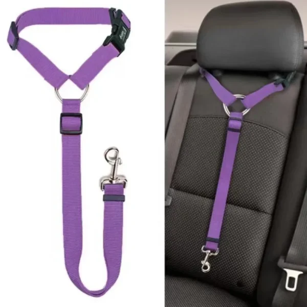 Sangle violette