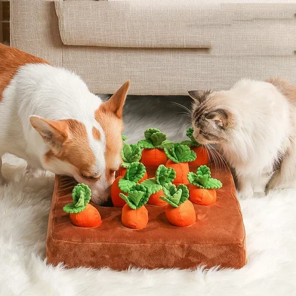 Chien et chat au potager