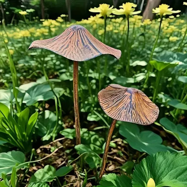 Champignons dans un massif
