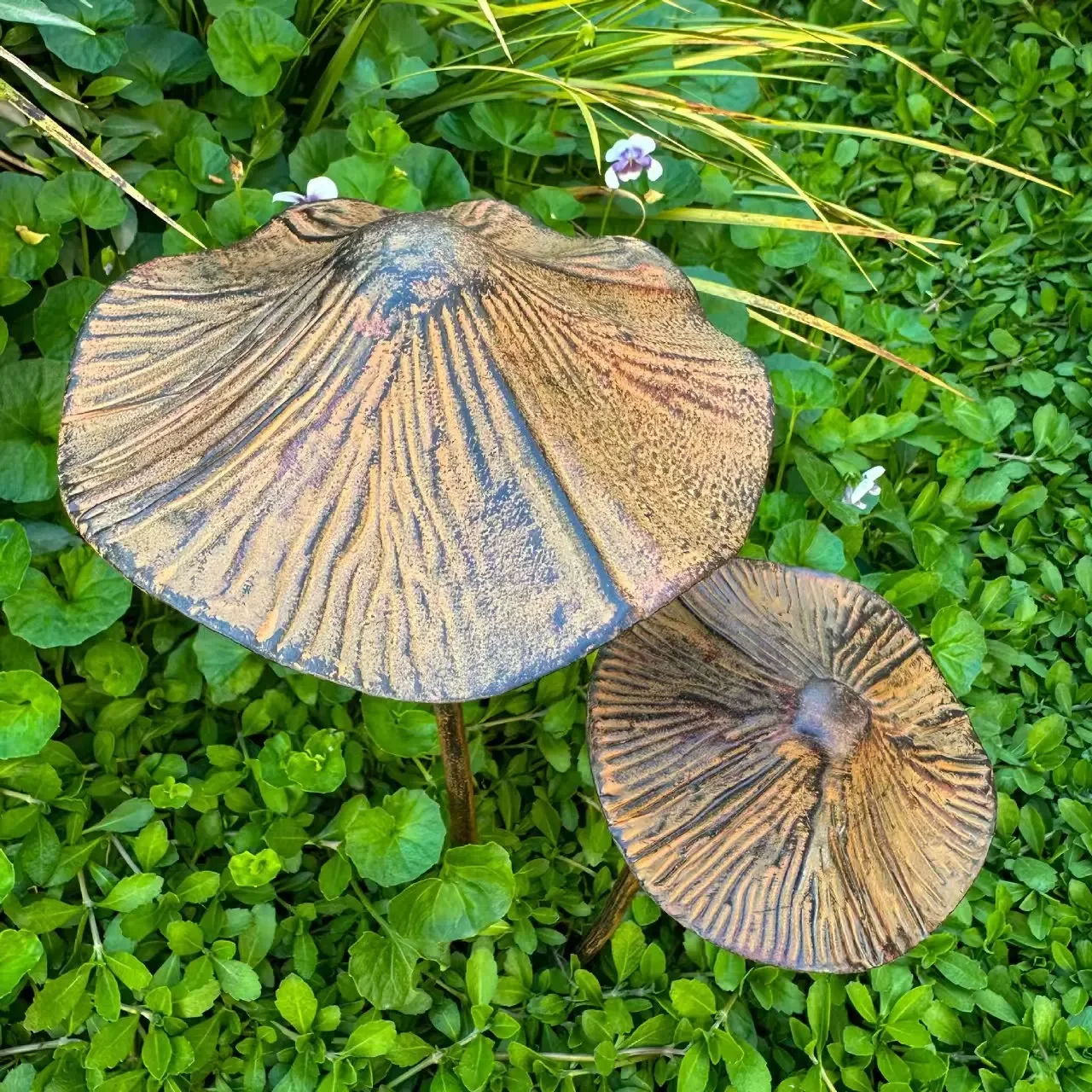 Chapeaux vus de dessus