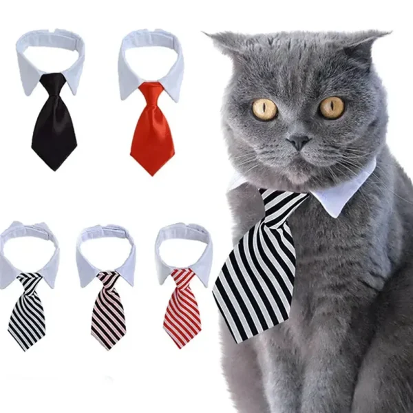 Col chemise à cravate pour chat