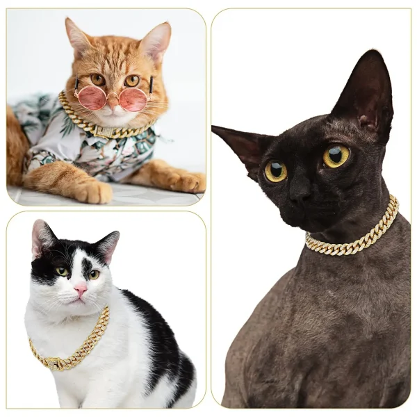 Chats au collier