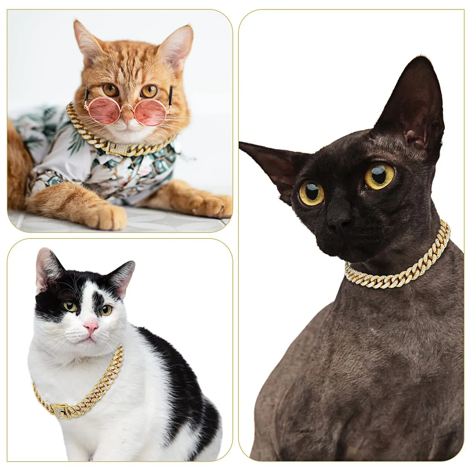 Chats au collier