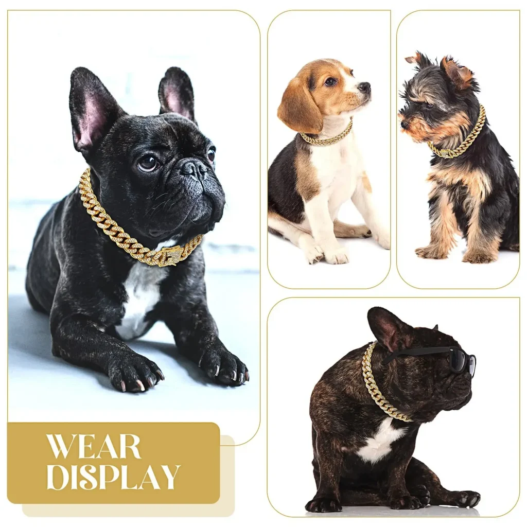 Chiens au collier