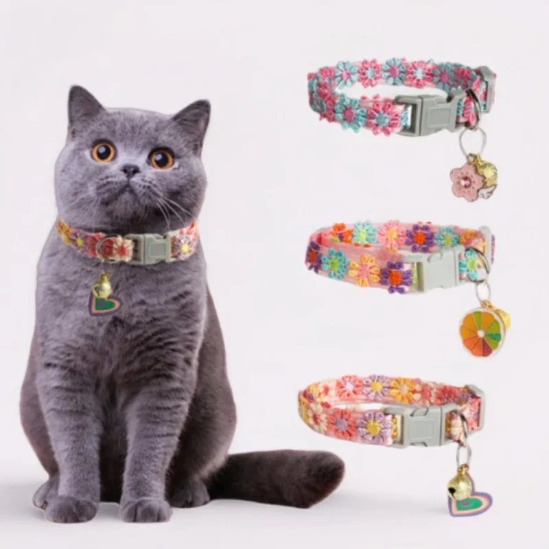 Chat qui le porte
