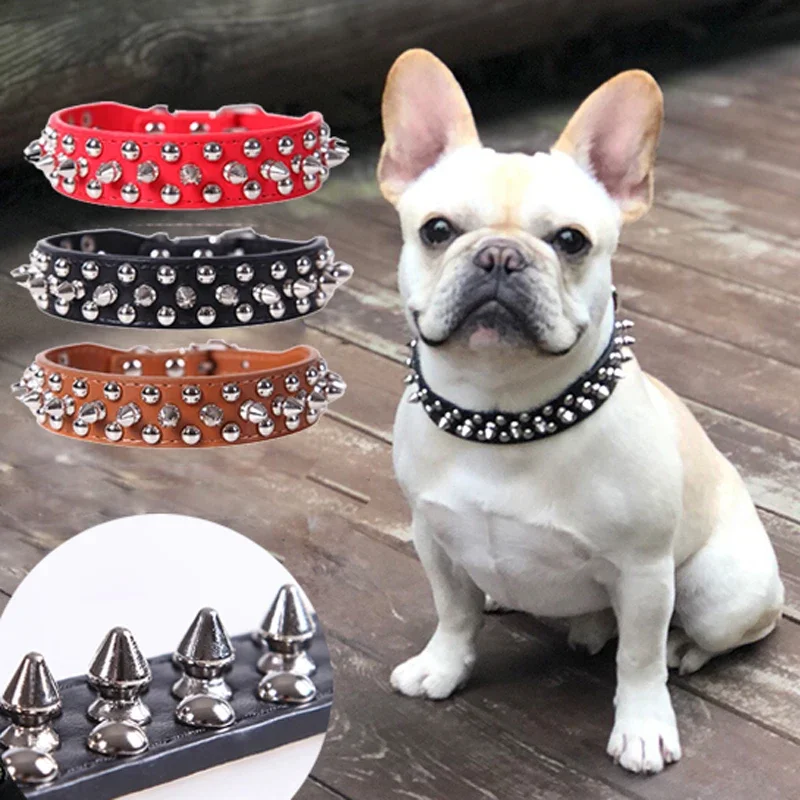 Bouledogue au collier noir