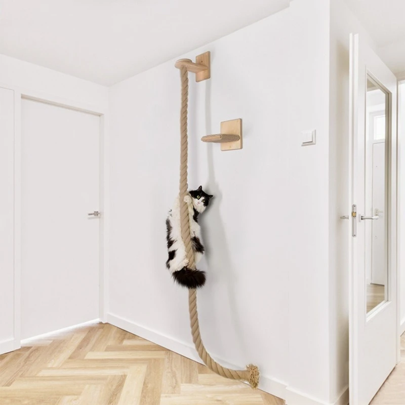 Corde au mur