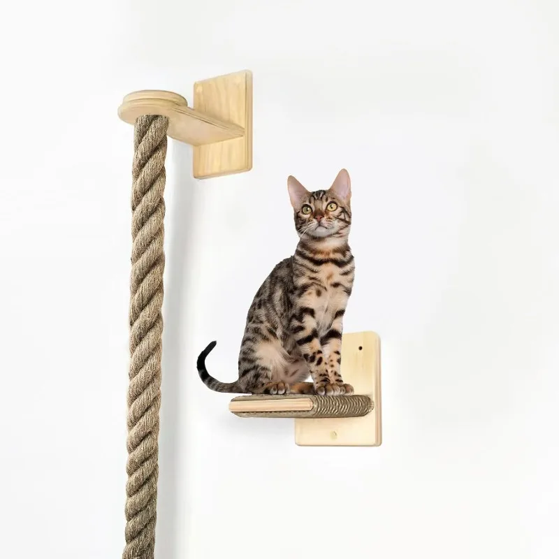 Chat en haut