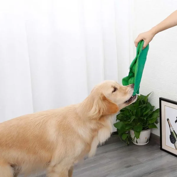Chien qui tire