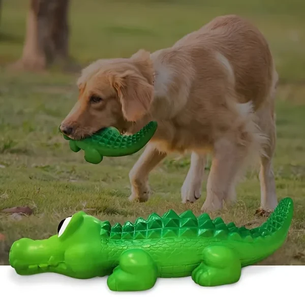 Chien et crocodile