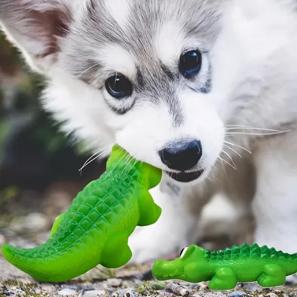 Crocodile couineur en latex pour chien