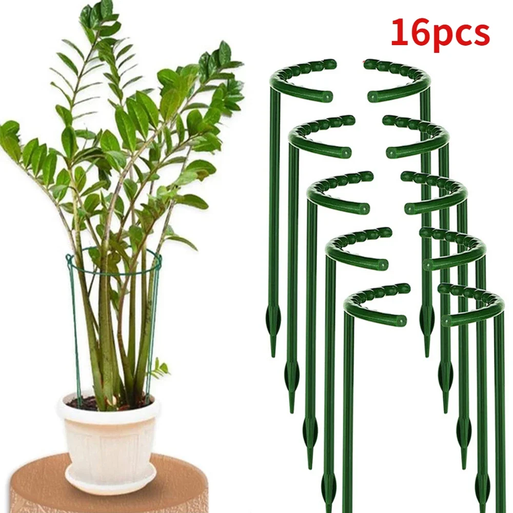 Plante entourée de cerceaux