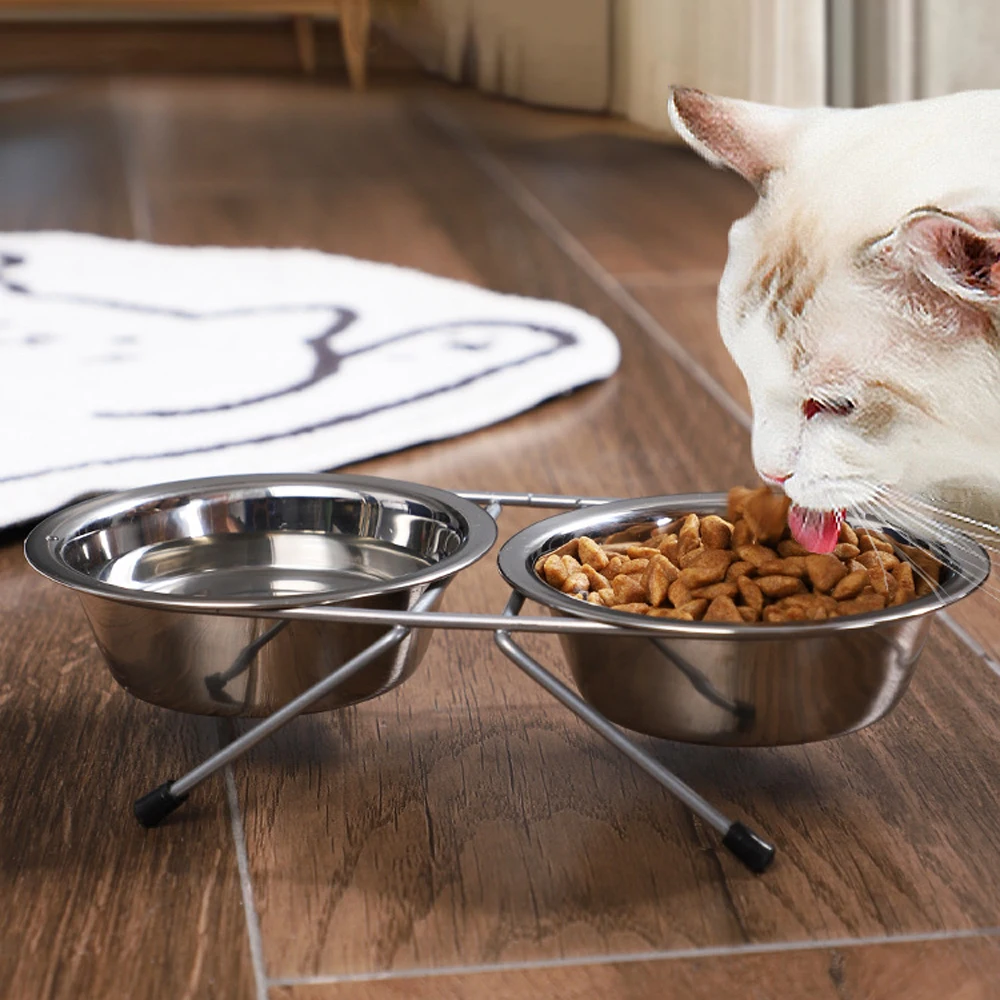 Chat au repas