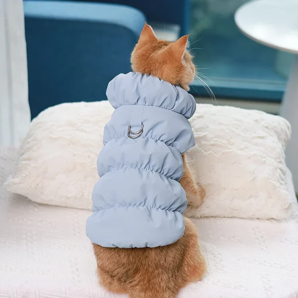 Chat en doudoune