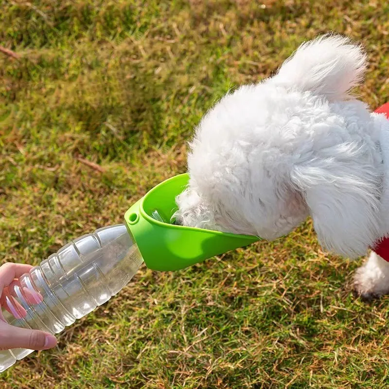 Chien qui boit