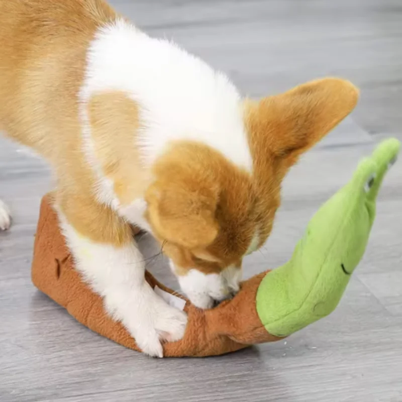 Chien et escargot